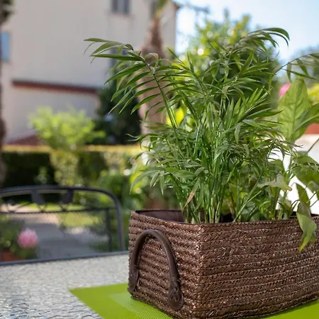Apartman Luka Apartment Rovinj Exterior photo